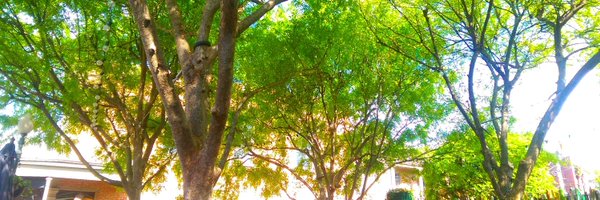 NOLAlexis_9 Profile Banner