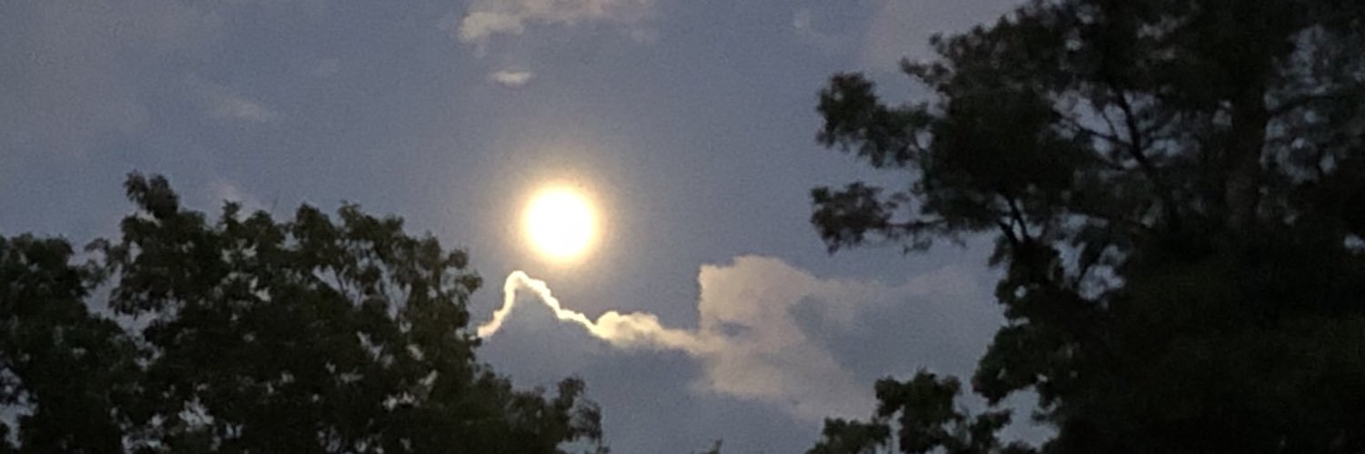 LLNorthShore's profile banner image