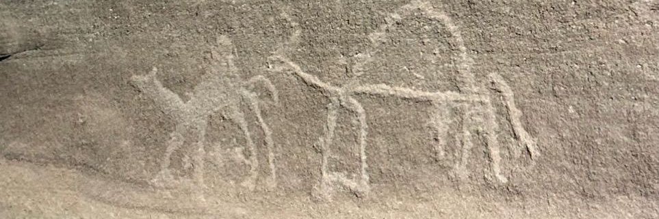 الهاروت banner