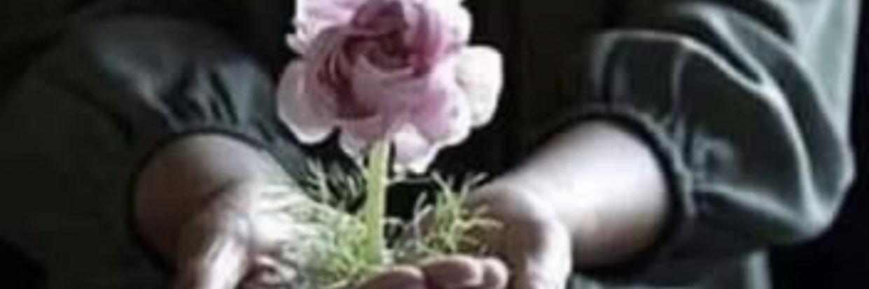 samtasusu's profile banner image
