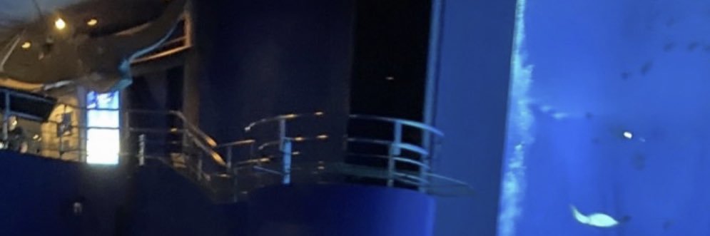 Nugget_games's profile banner image