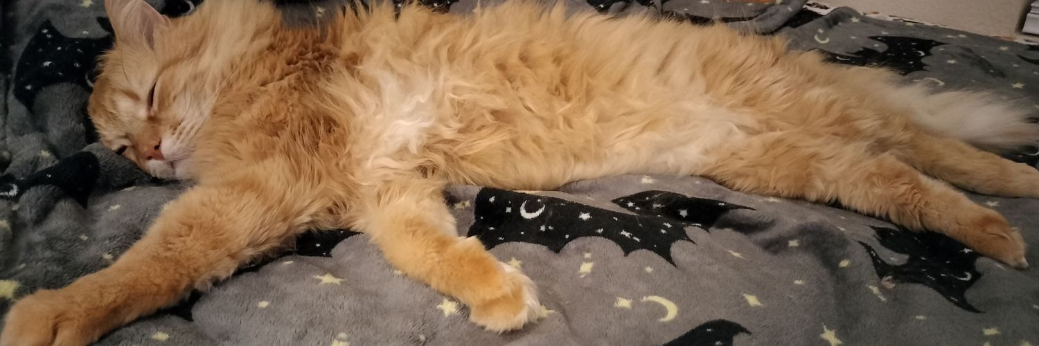 Admiral Restraint banner