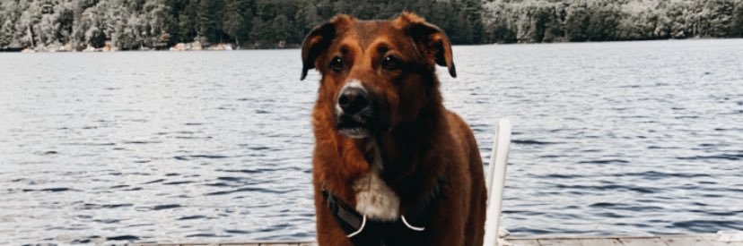 jamiewoodd's profile banner image