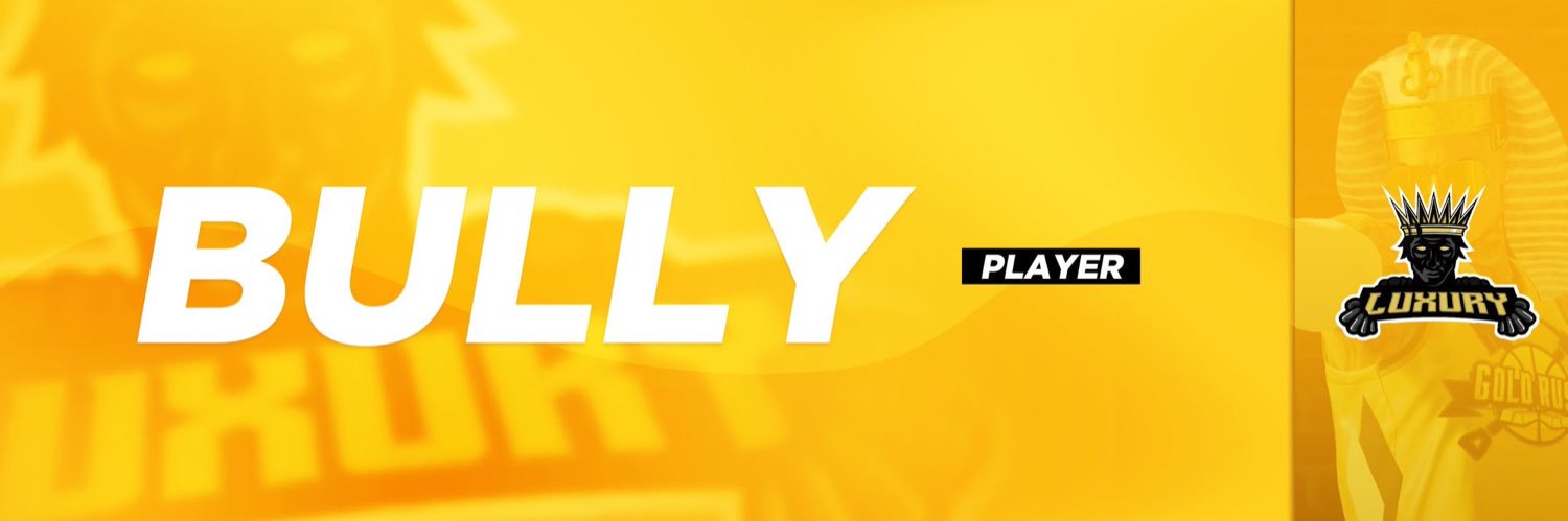 iBullyy_'s profile banner image