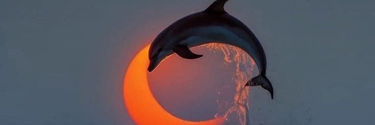 aguiarGb33's profile banner image