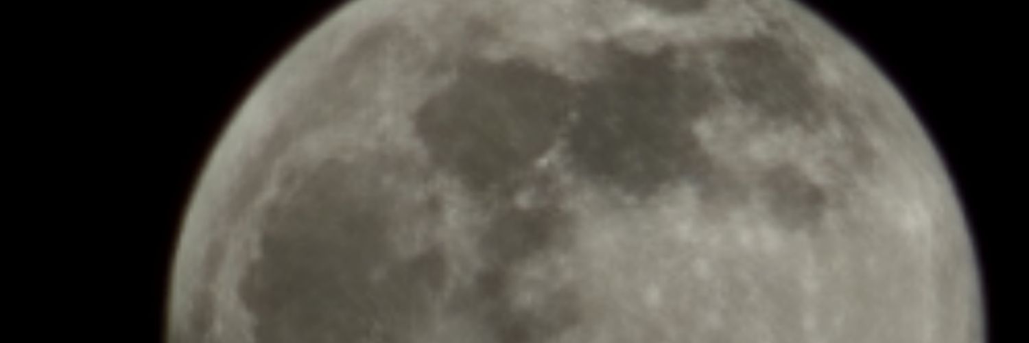 msw44442's profile banner image