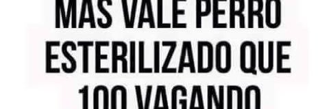 ElAnimalista's profile banner image