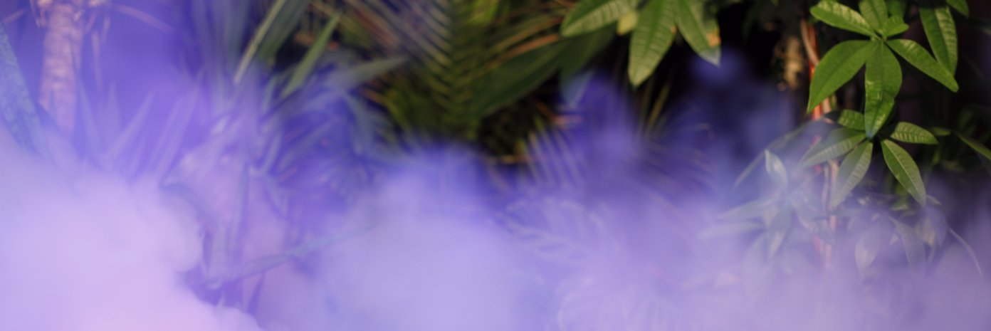 jindaleemusic's profile banner image