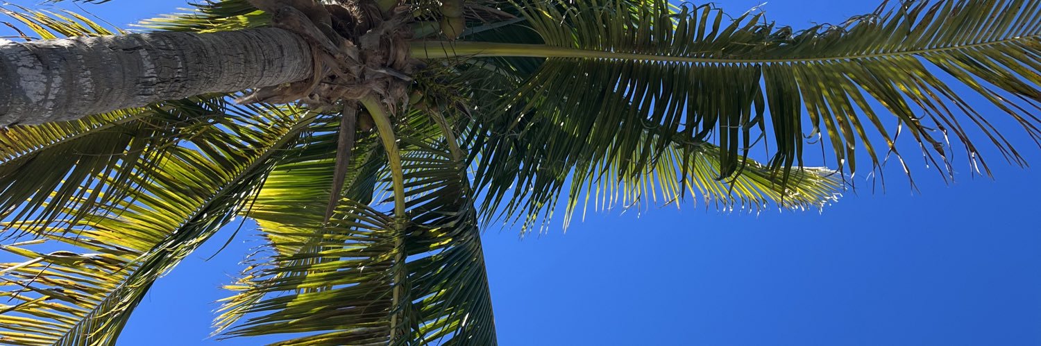 cchloechic's profile banner image
