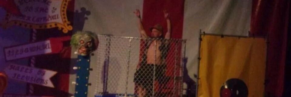 King B 👑🐝⛺️🌵 #FuckLyme banner