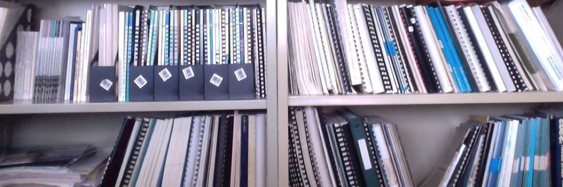 Josianne Millette, PhD. banner