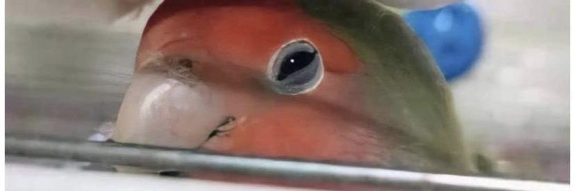 anged93's profile banner image