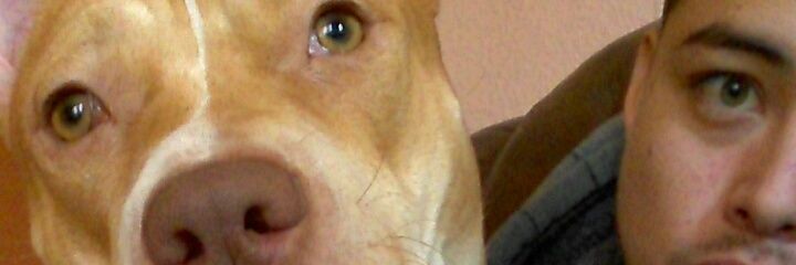 imartinez1423's profile banner image