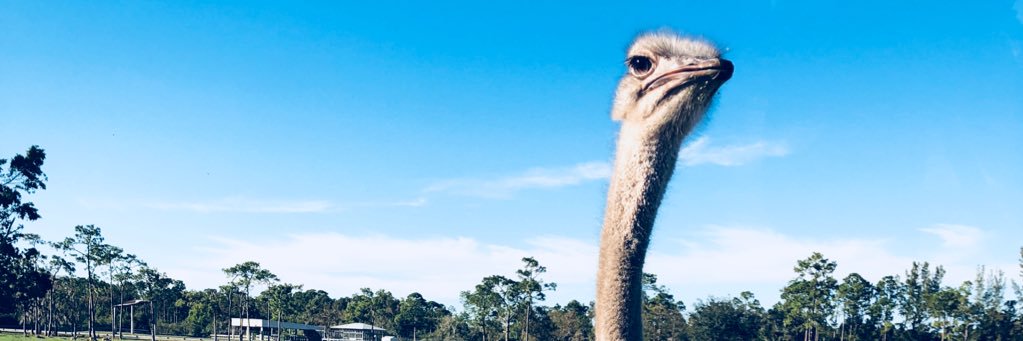 HannahLeinert's profile banner image