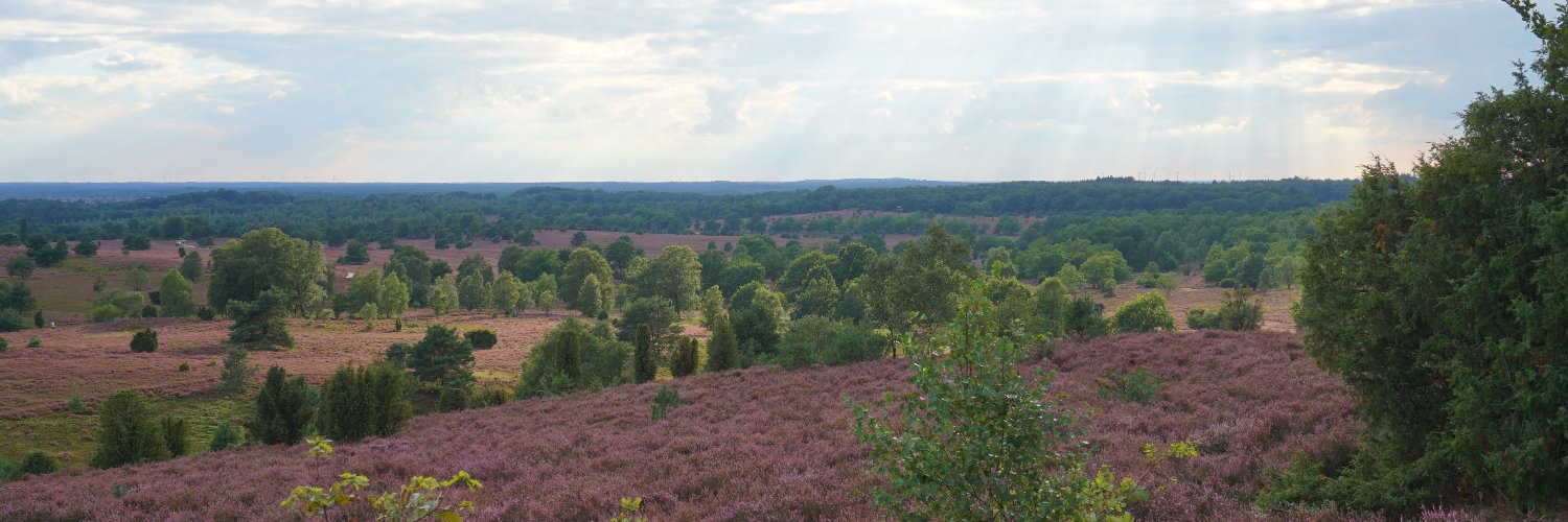 Rafael Laso Pérez banner