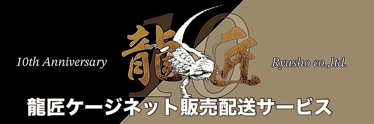 ryuushyou2014's profile banner image