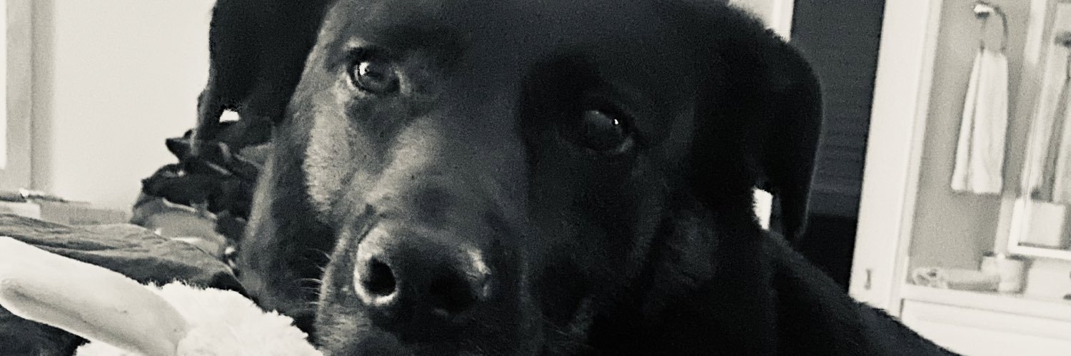 Serg26pt2's profile banner image