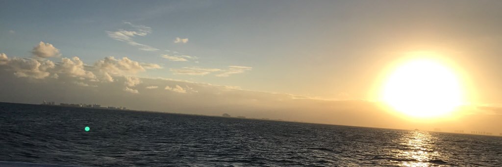Detective_Mouse's profile banner image