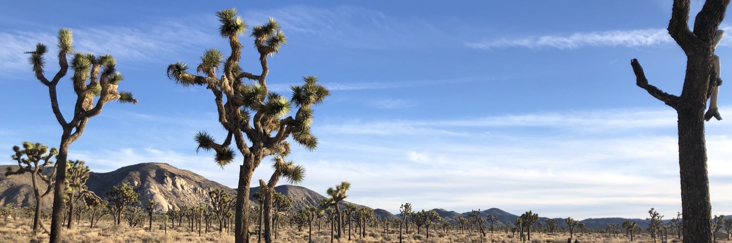 Kit Fitzgerald banner