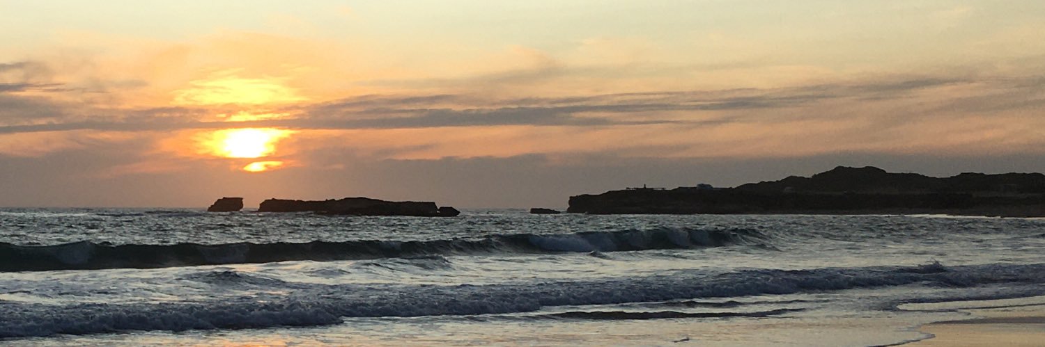 Averill Deans banner