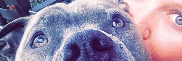 iwantherman's profile banner image