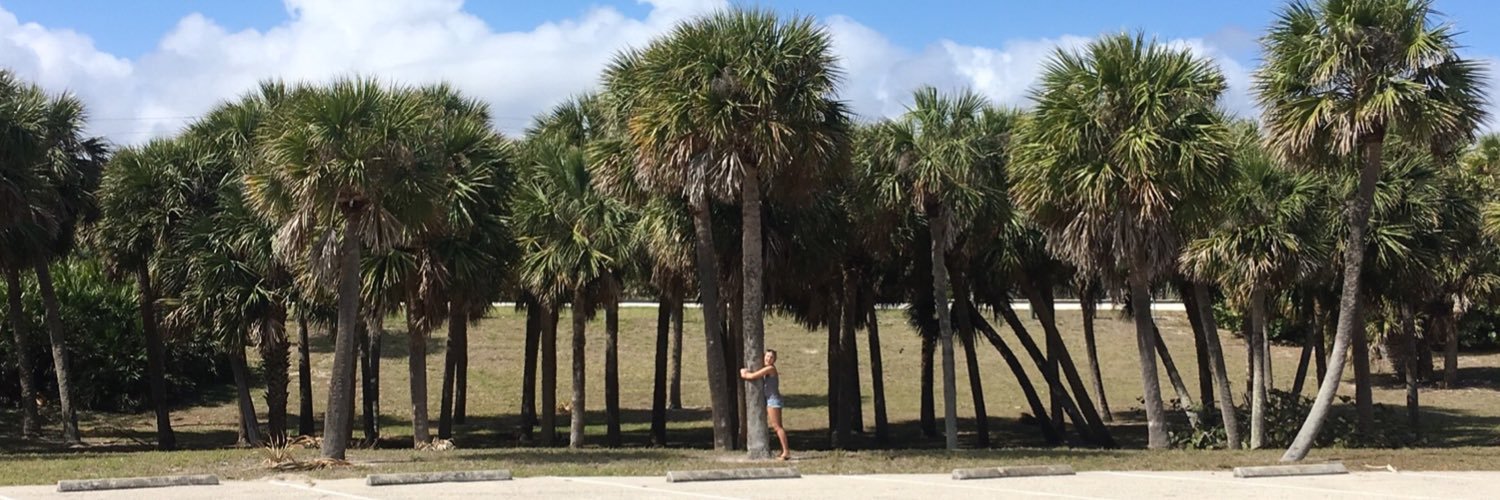 katimonson1's profile banner image