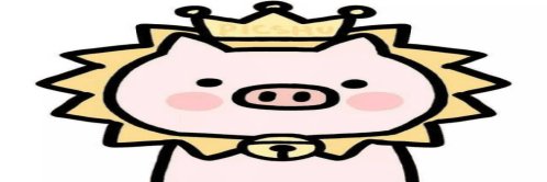 jdidhrhdi's profile banner image