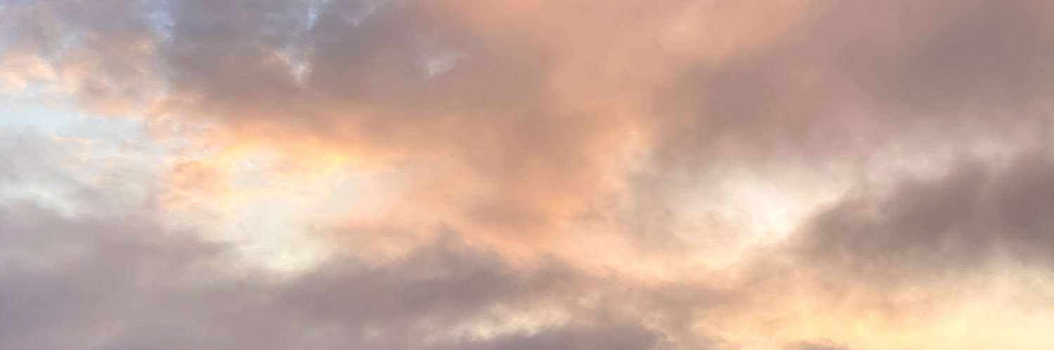 elisalausw's profile banner image