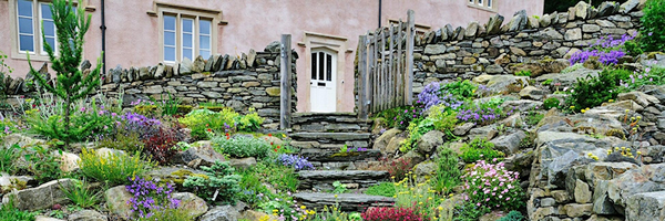 LifetimeBuild Profile Banner