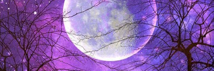 dancingmoonbeam's profile banner image
