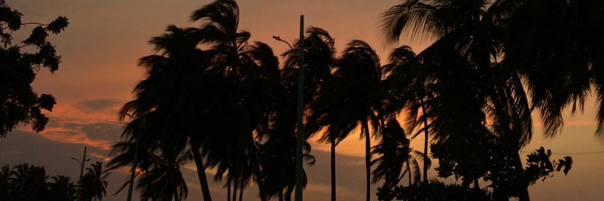 el_paeez's profile banner image