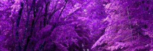 stefnemillett's profile banner image