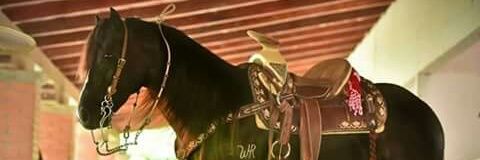 alanzuniga581's profile banner image