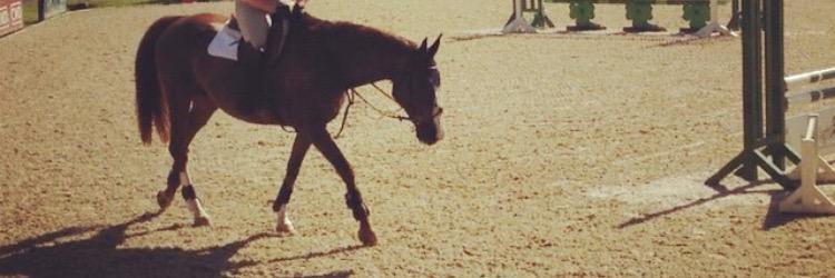 cavallo_co's profile banner image