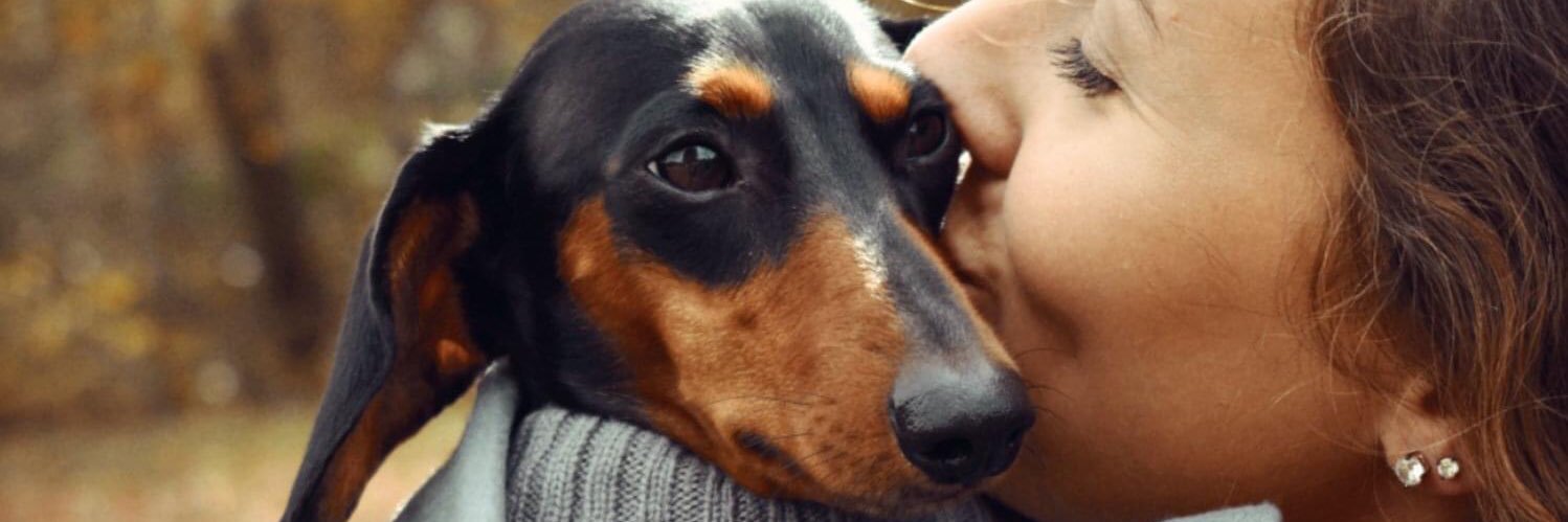 ChloeCochran4's profile banner image