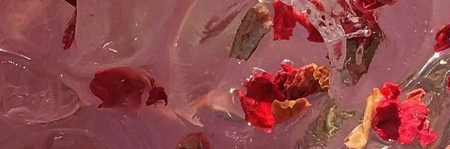 ChanelInwhite's profile banner image