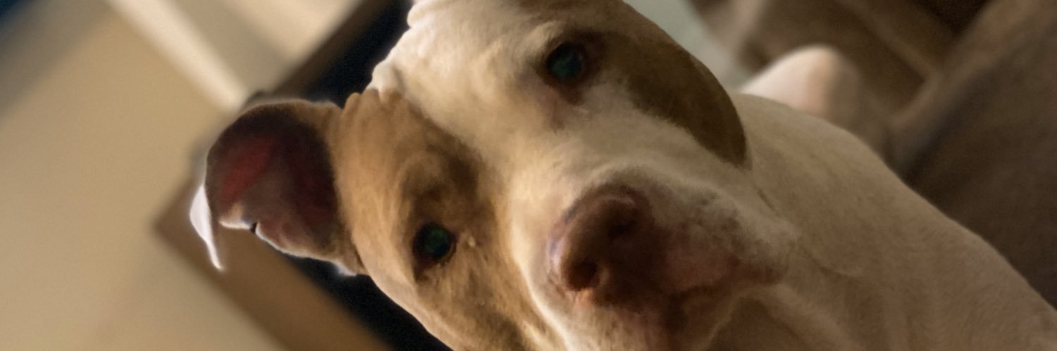 CoreyMo210's profile banner image