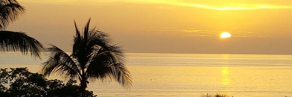 pmancuso Profile Banner