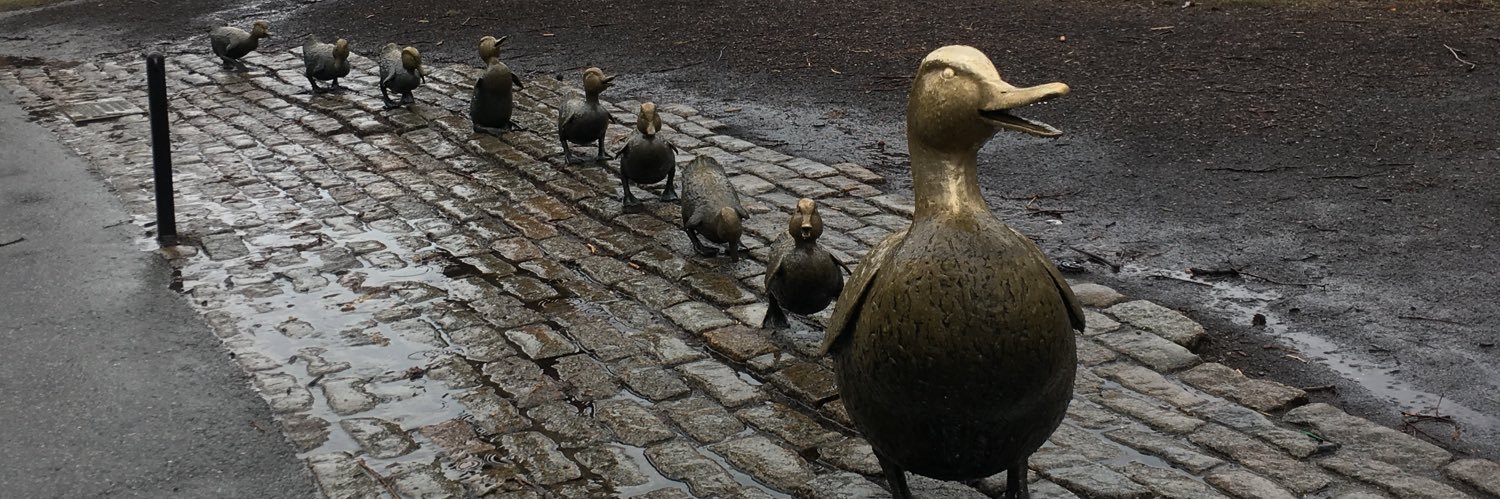 Em Triolo 🏳️‍🌈 banner