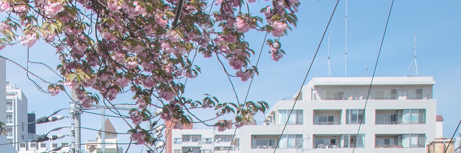 warmskye's profile banner image