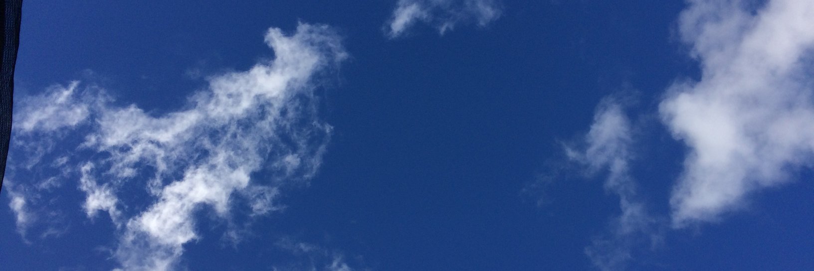 _To_toro_'s profile banner image