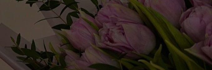 taghreed2201's profile banner image