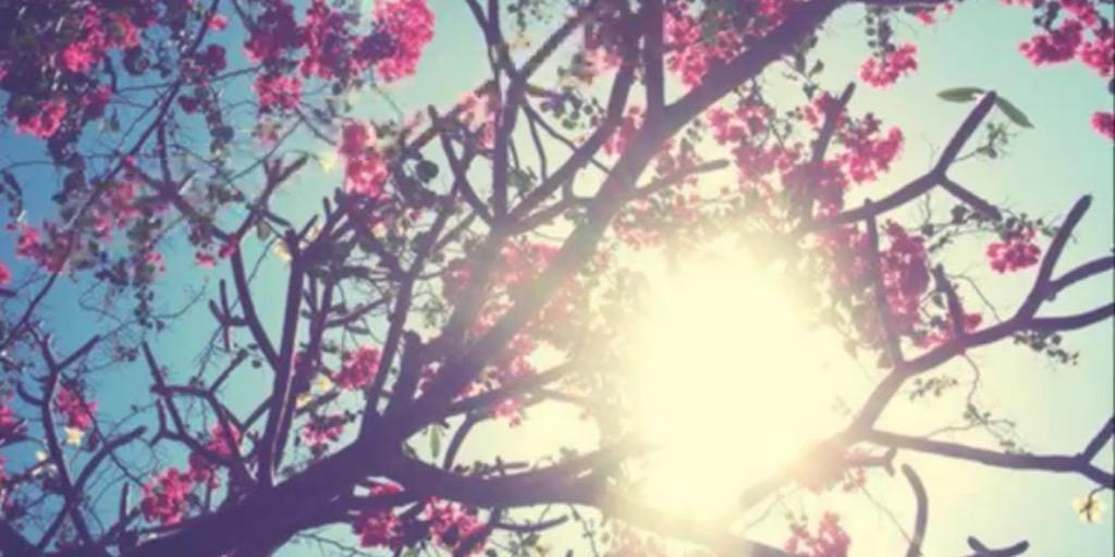 dtcgp's profile banner image