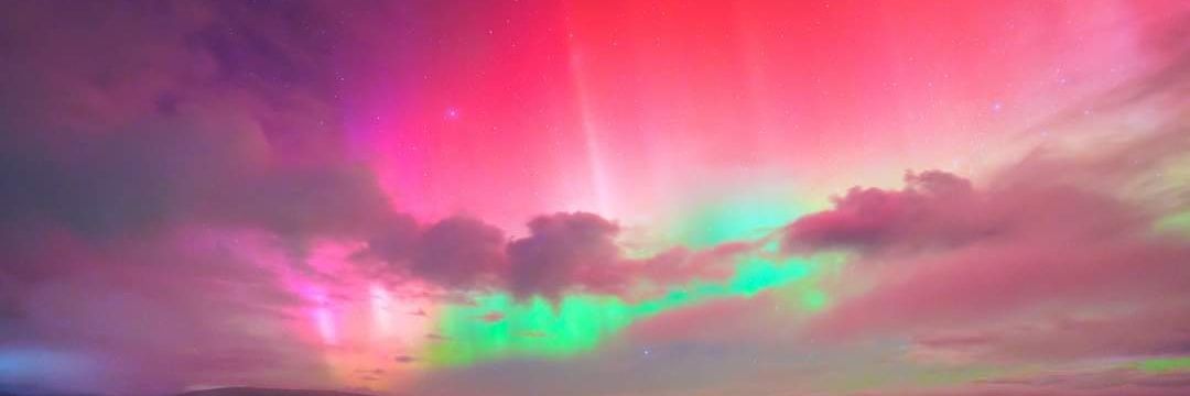 Euen Herbert #Windrush #SaveELGC #FBPE banner