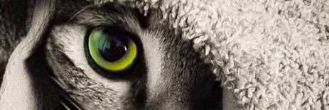 0myu0_'s profile banner image