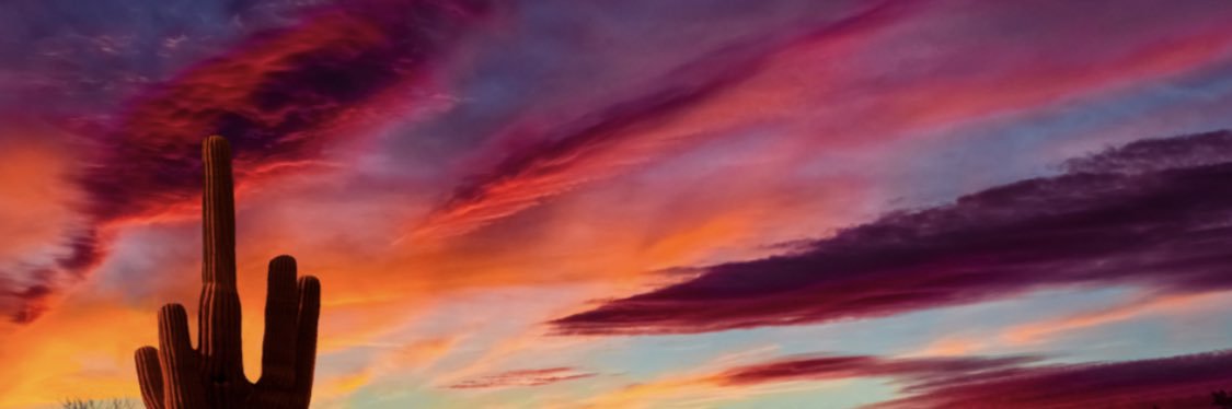 brennkatee's profile banner image