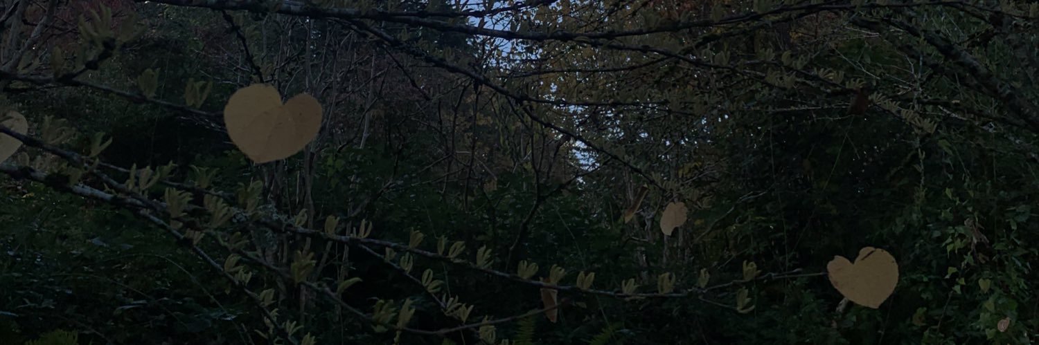 Lilyy021's profile banner image