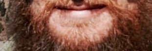 Shookbeard's profile banner image