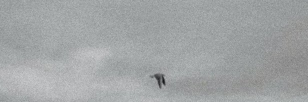dopisw8ing's profile banner image