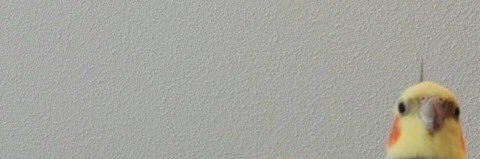 21kyx's profile banner image